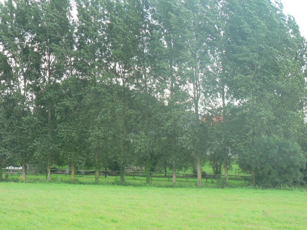 Gite De L'Aure Trevieres Екстериор снимка