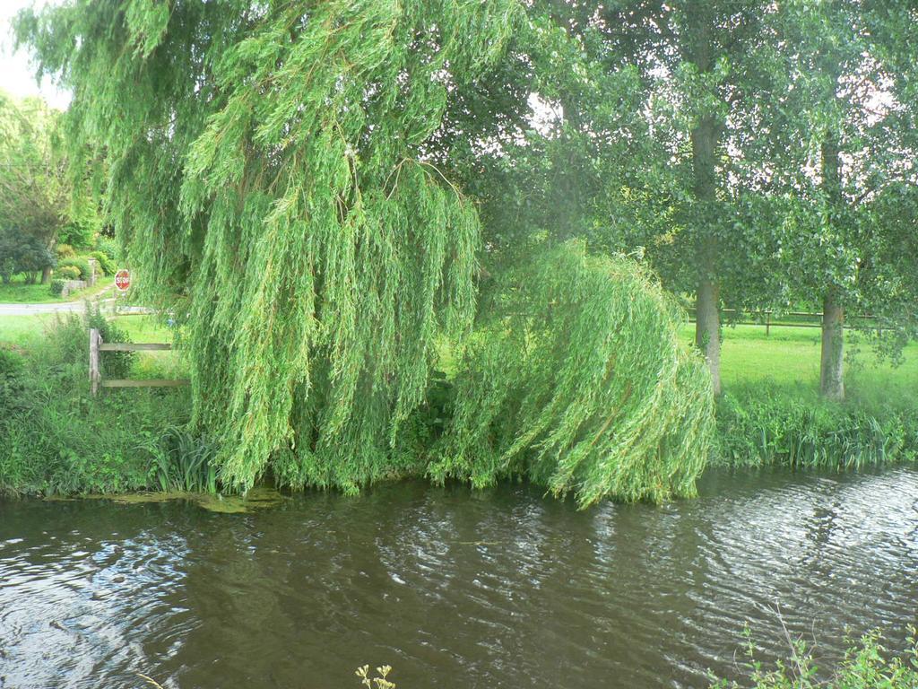 Gite De L'Aure Trevieres Екстериор снимка